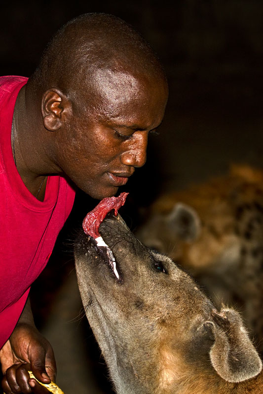 262   Hyena man of Harar   Ethiopia